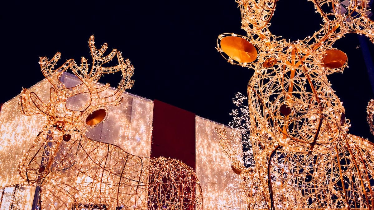 Lights at the fairgrounds discount