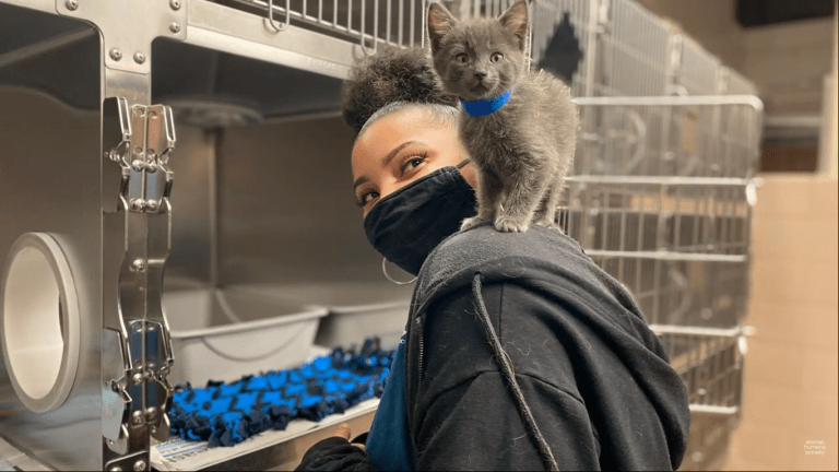 The center animal humane top