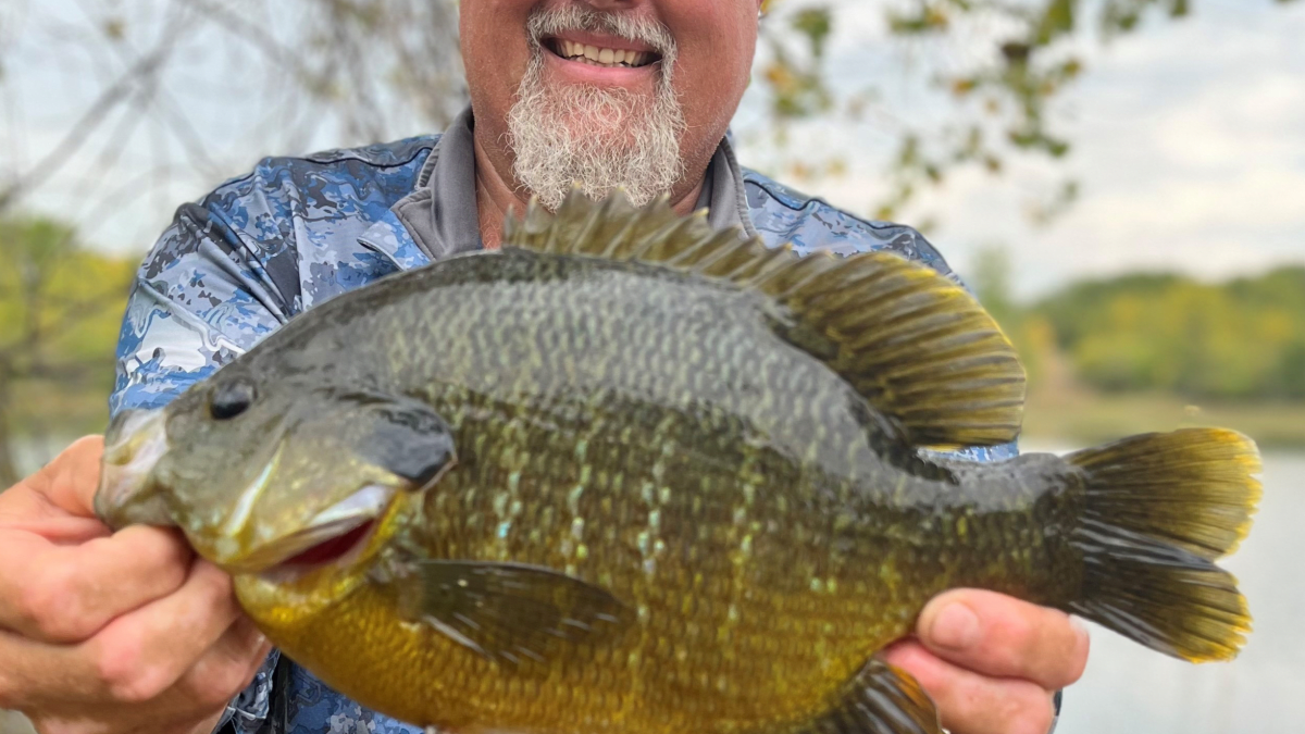 SUN FISH スカイマンボー screen-shot-2022-10-25-at-