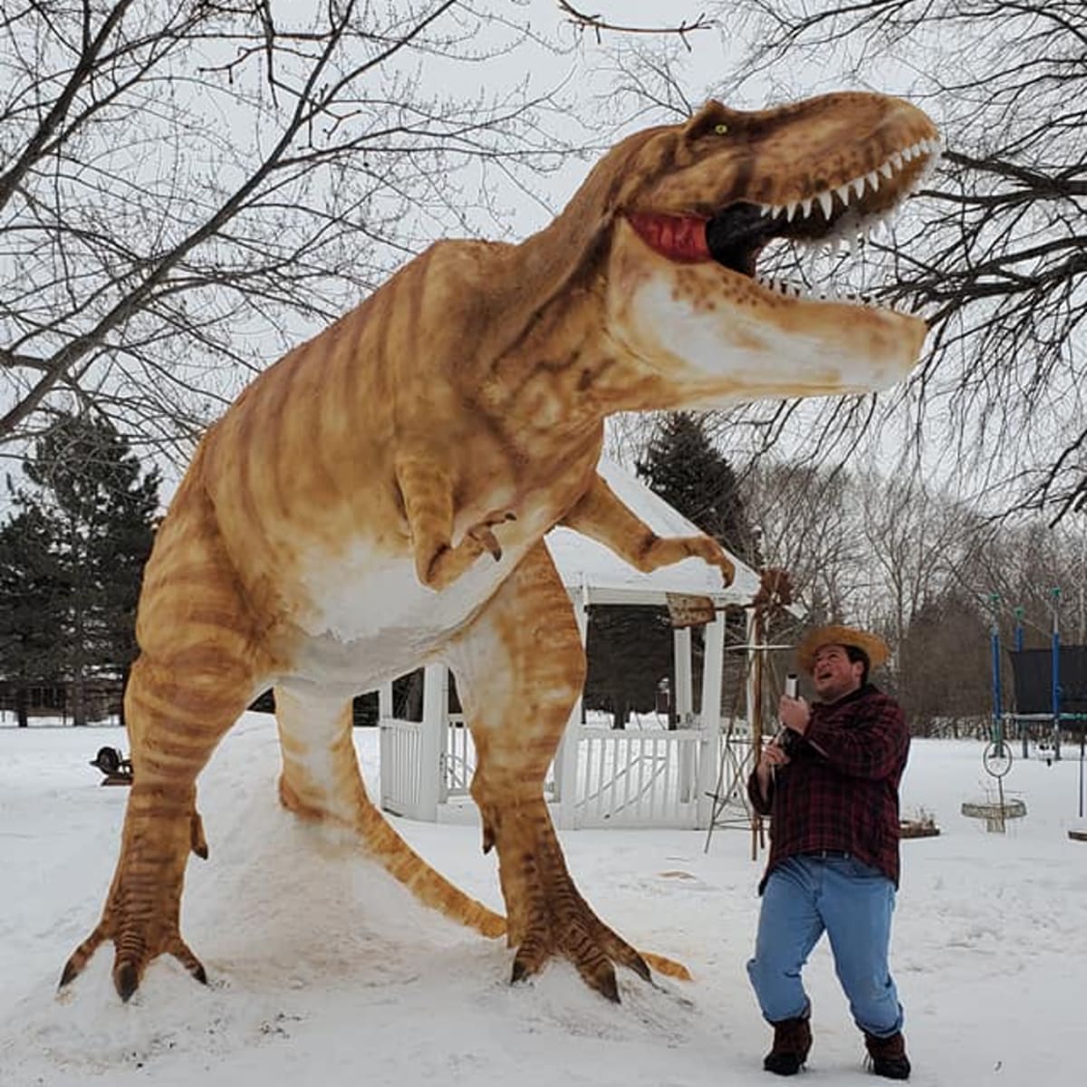 Minnesotan's giant T-rex snow sculpture wows visitors, passersby - Bring Me  The News