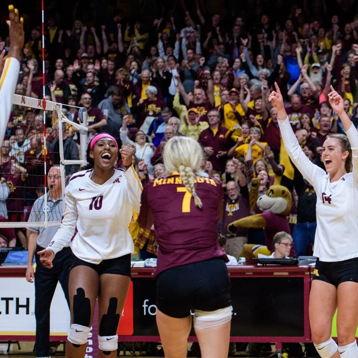 Gopher volleyball takes down No