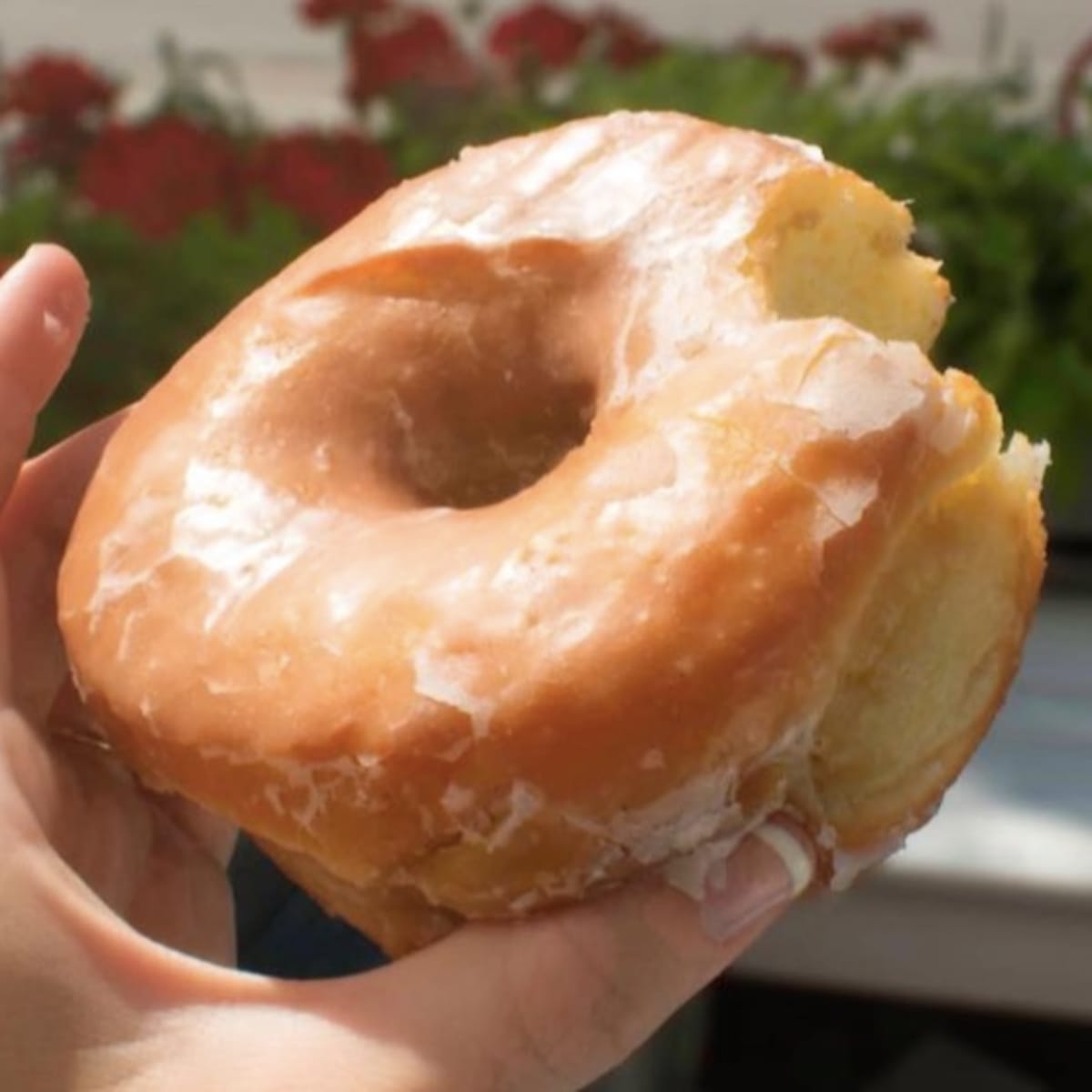 Food Writer Claims Minneapolis Is Home To Minnesota S Best Doughnut Bring Me The News