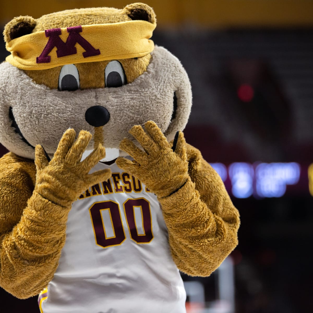 Minnesota Gopher Sports announces full capacity for sporting events - The  Daily Gopher