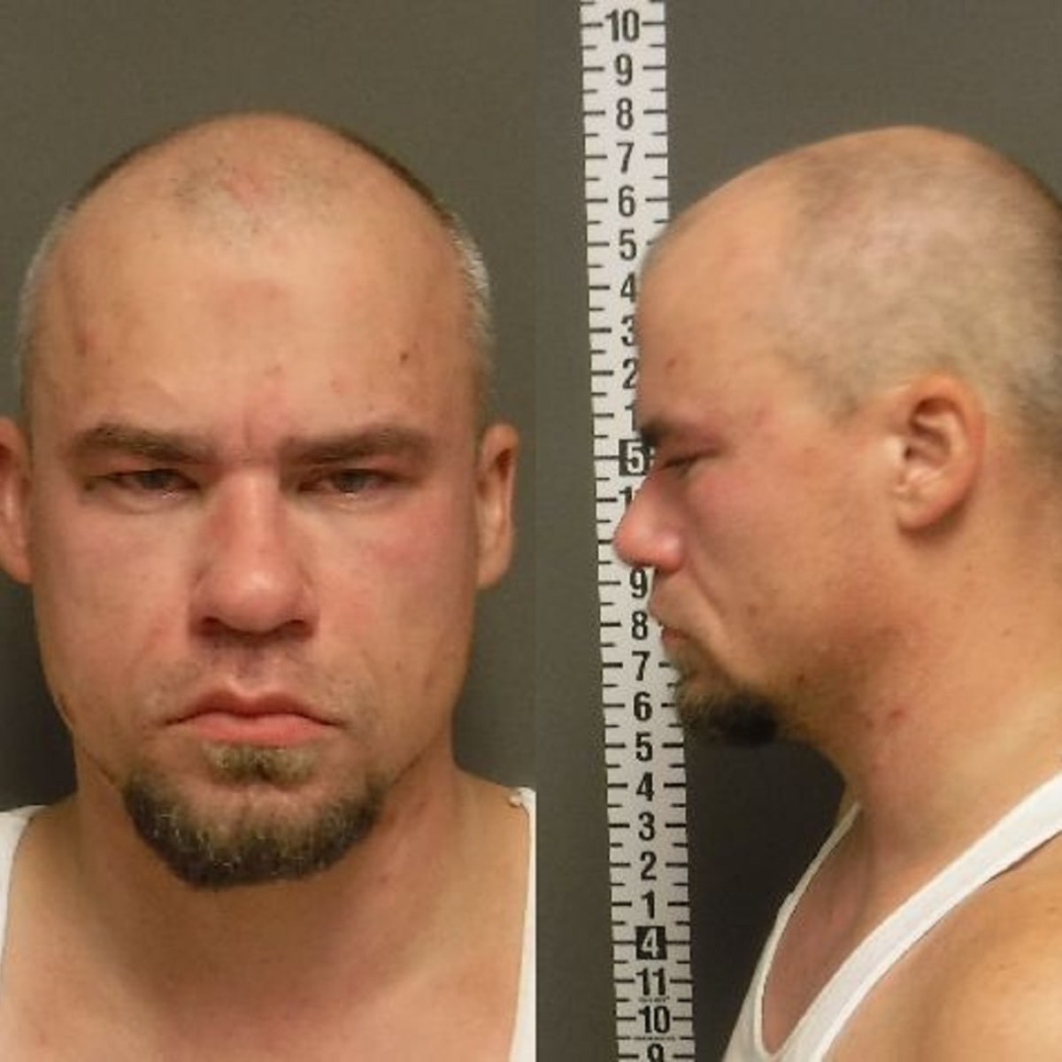 Police Registered sex offender armed with gun wanders into 2 Fargo homes