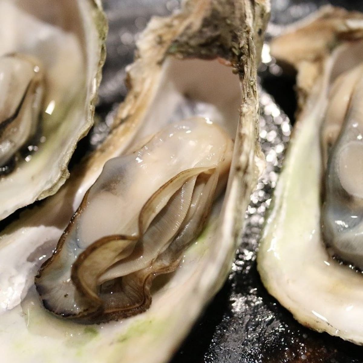 An Outbreak Unnerves Oyster Fans - Eater NY