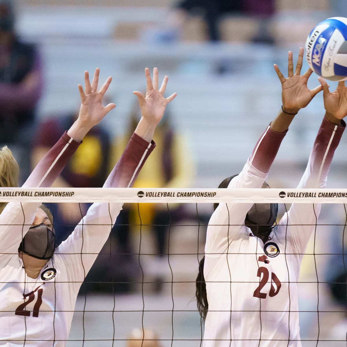 Gopher volleyball cruises to Sweet 16, now 2 wins from NCAA Final Four