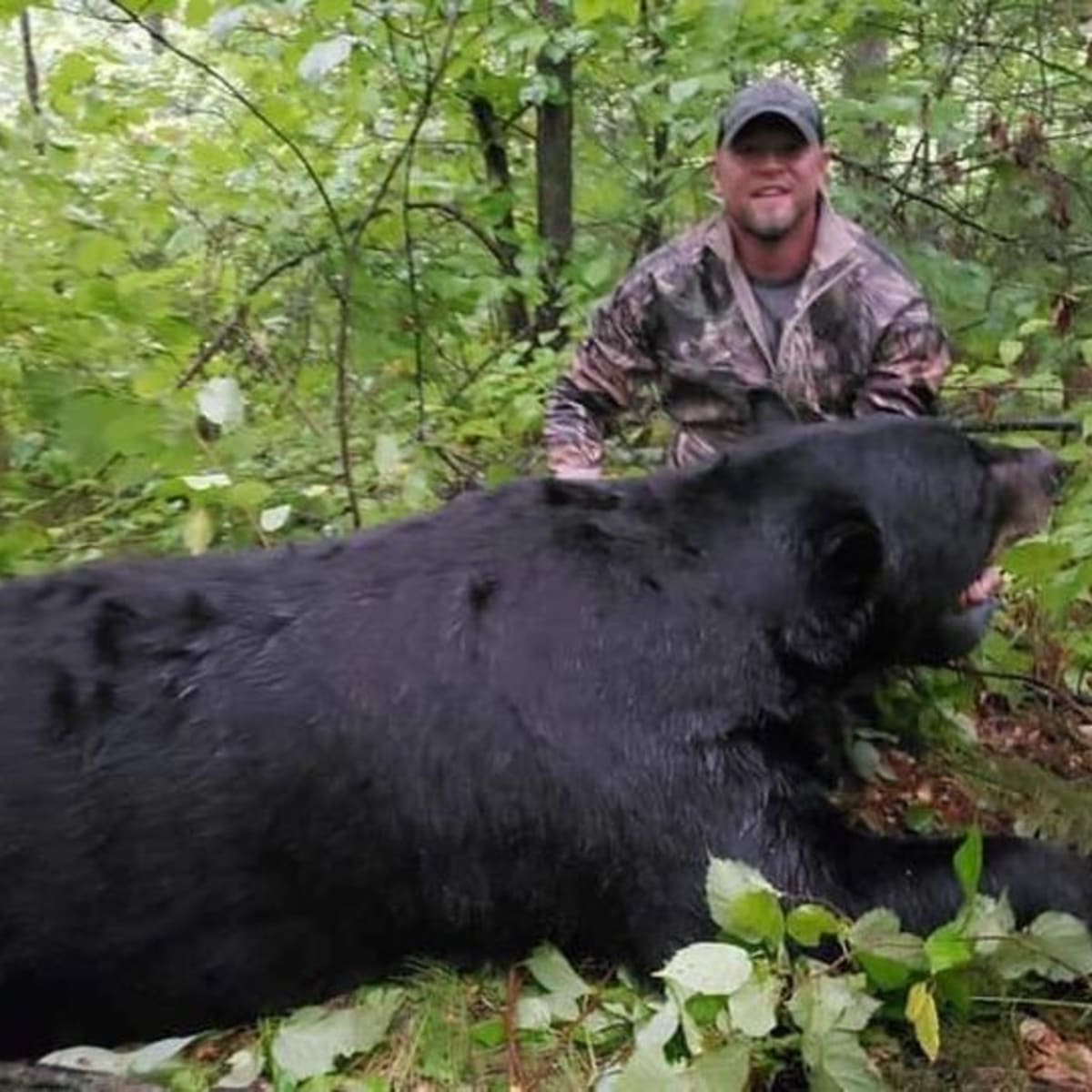 NFL Quarterback Who Hunted, Killed Black Bear Being Called 'Barbaric'