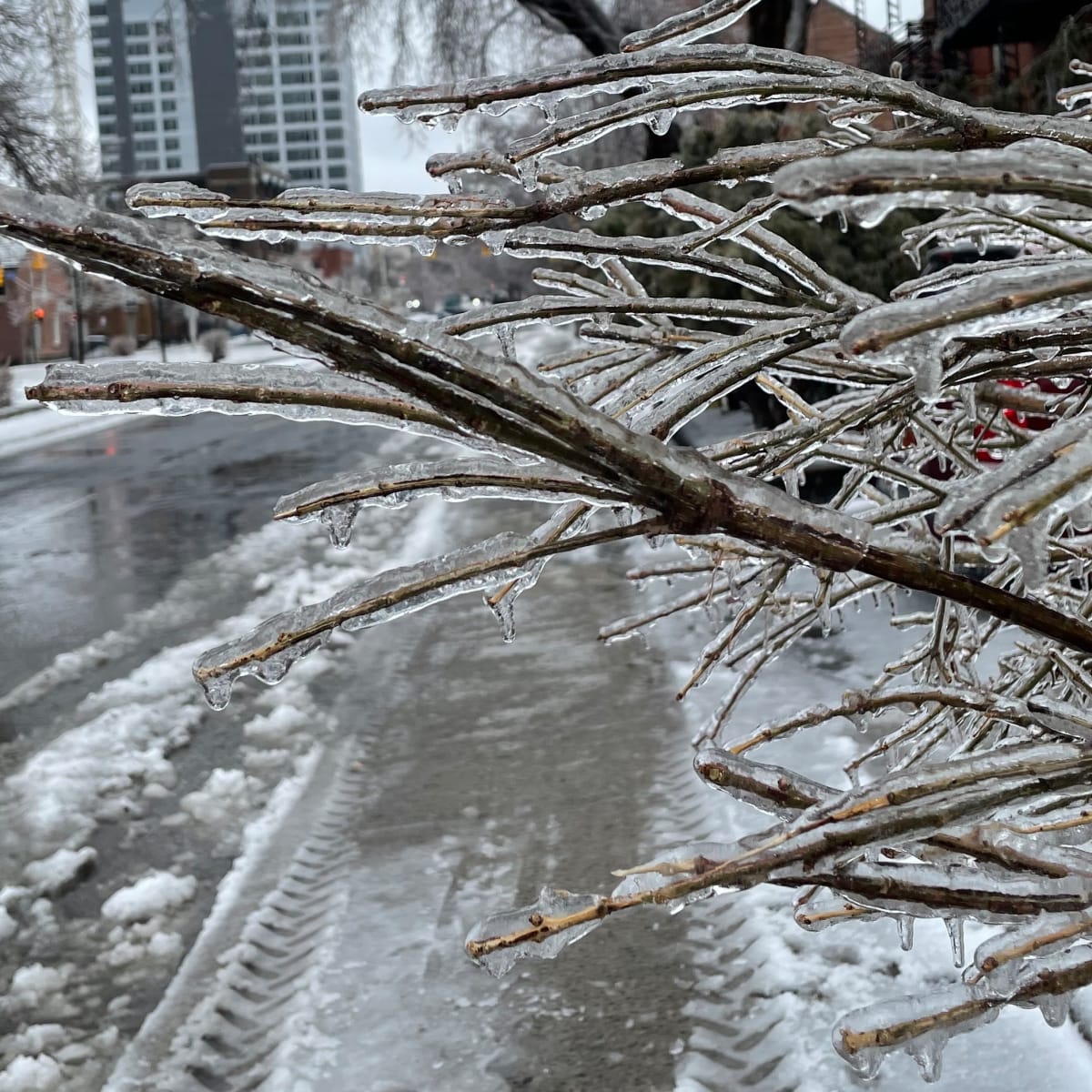 In a massive winter power outage, how would Minnesotans heat their