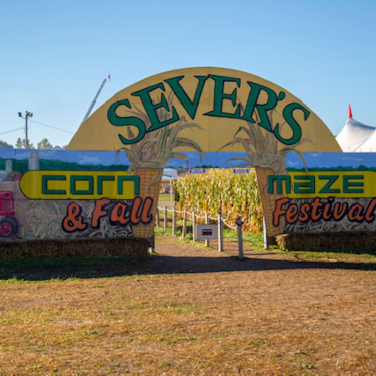 Sever's shop fall festival
