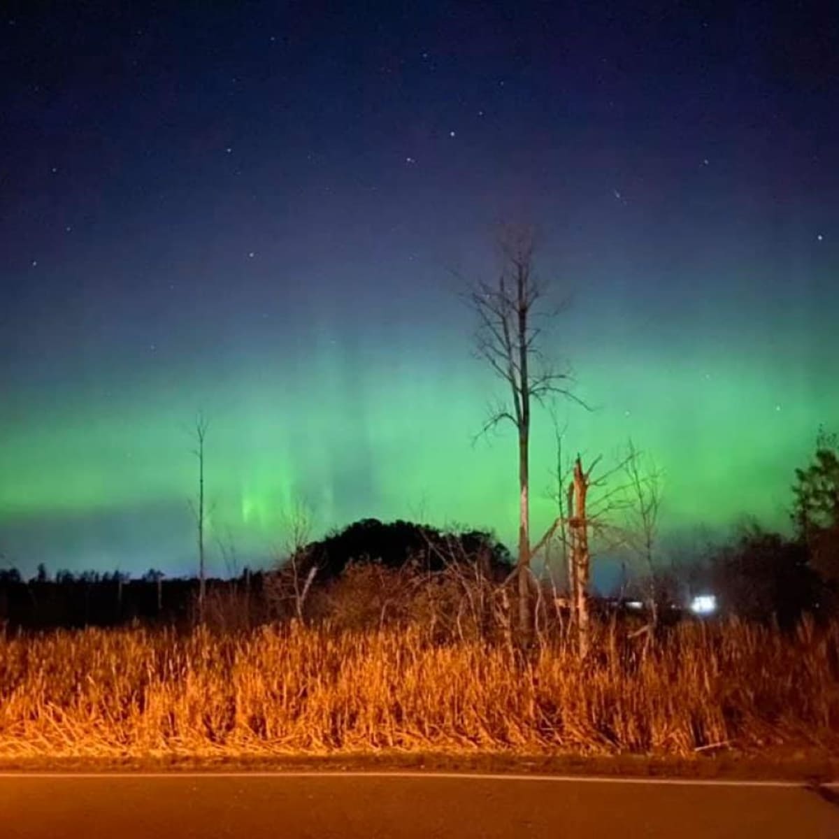 aurora borealis northern lights tonight nebraska