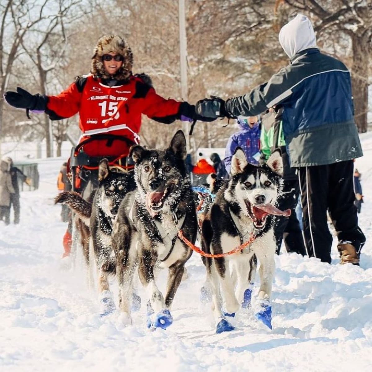 Husky sled discount racing