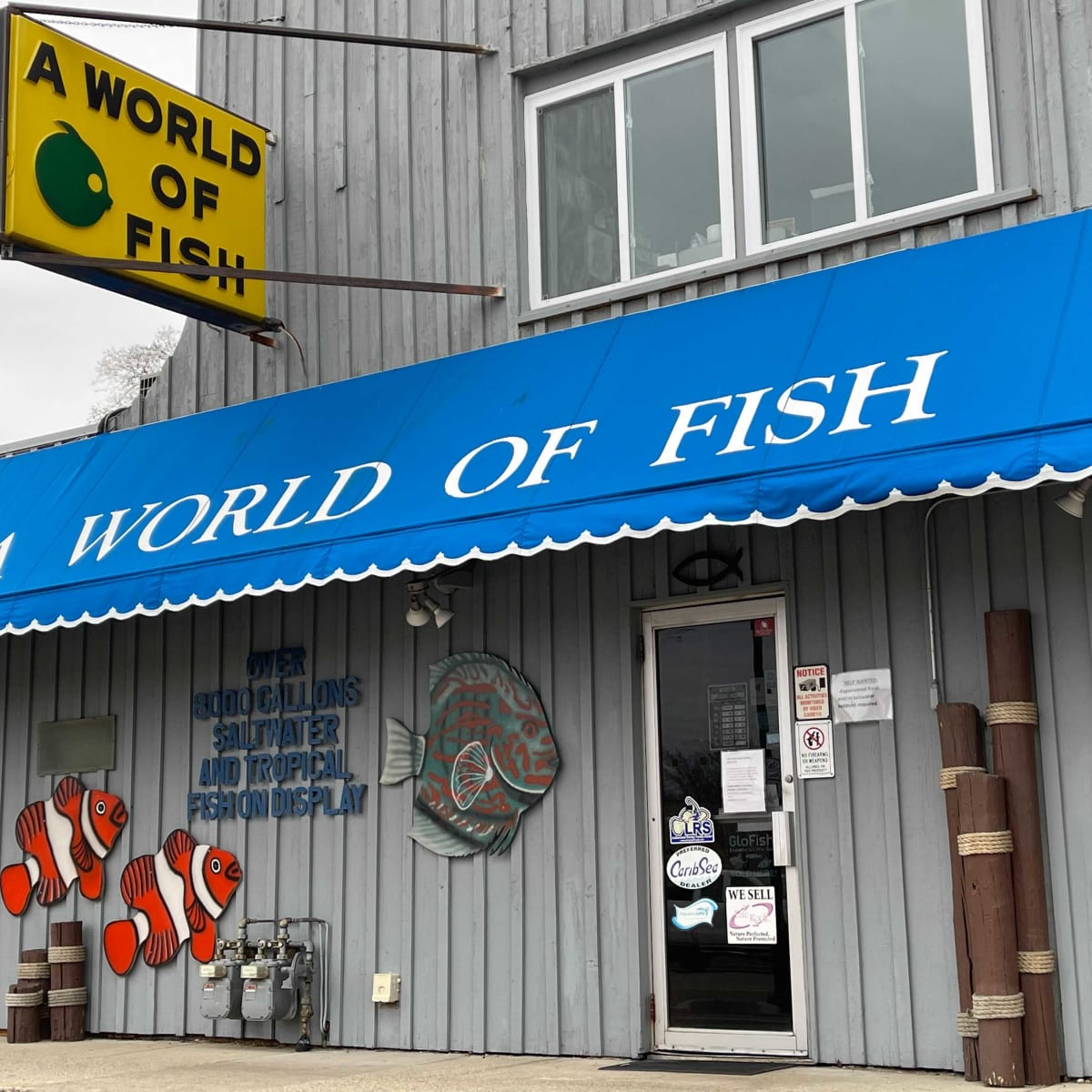 A World of Fish in Richfield closing after nearly 50 years in
