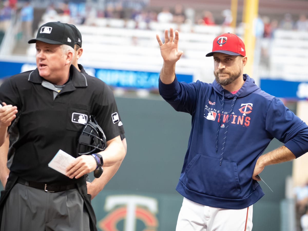 Nelson Cruz smashes 2 HR in Twins' rout over Tigers - Bring Me The News