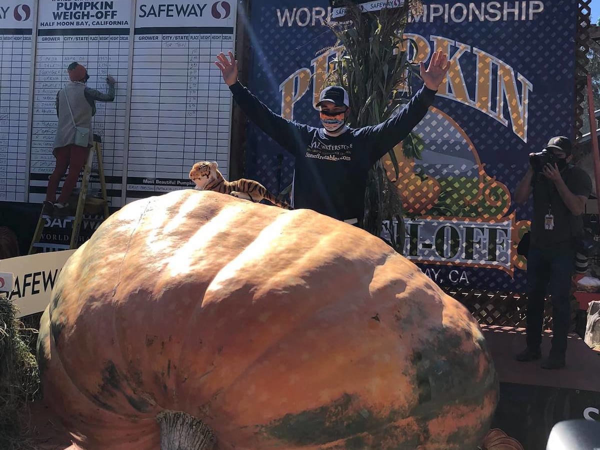 2 Minnesotans win giant pumpkin weigh-offs, setting records - Bring Me The  News