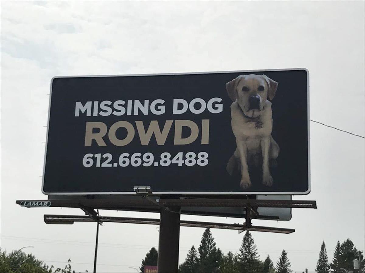 found dog sign