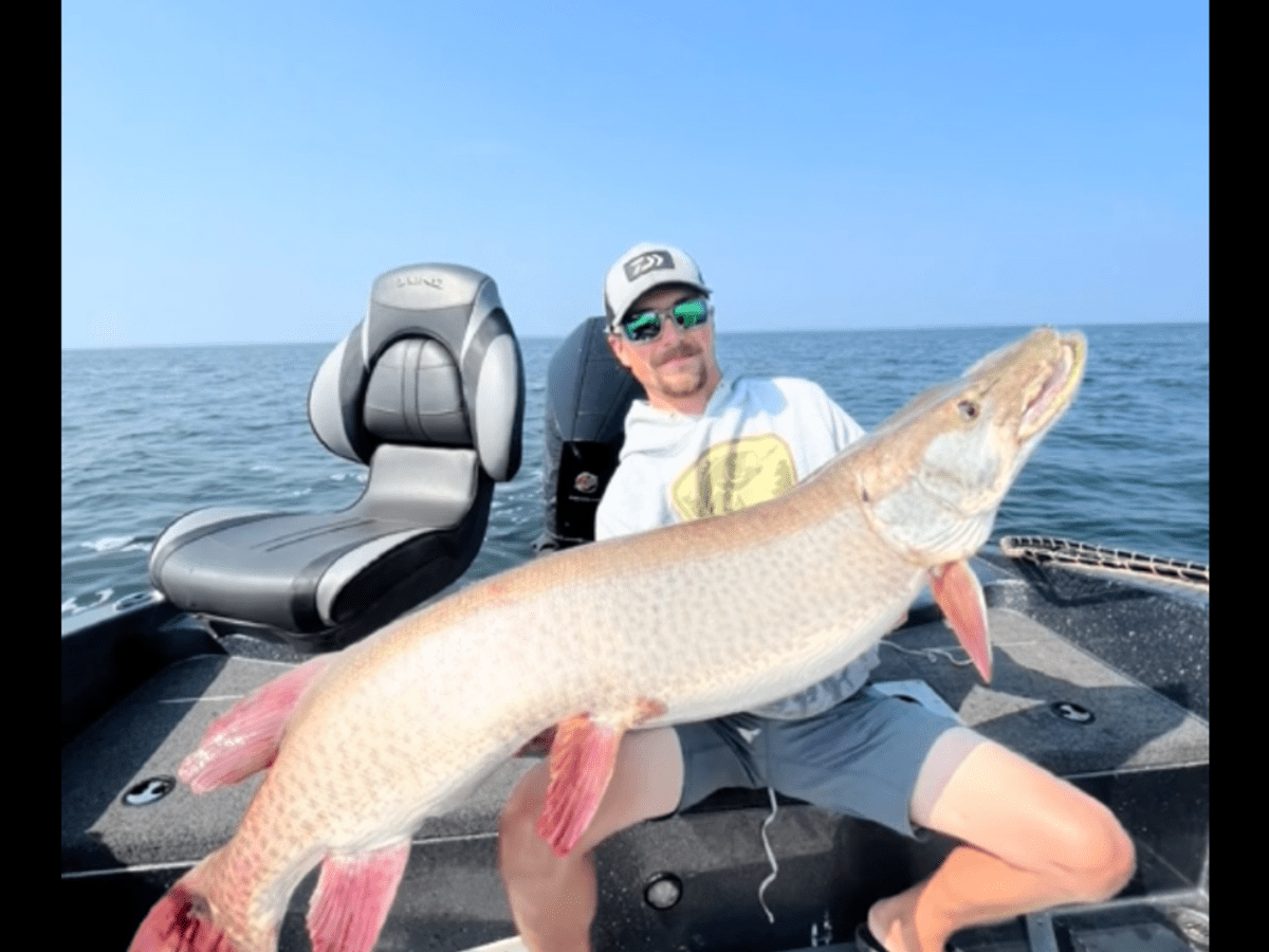 Watch: Video of MN angler's giant muskie catch goes viral on TikTok - Bring  Me The News