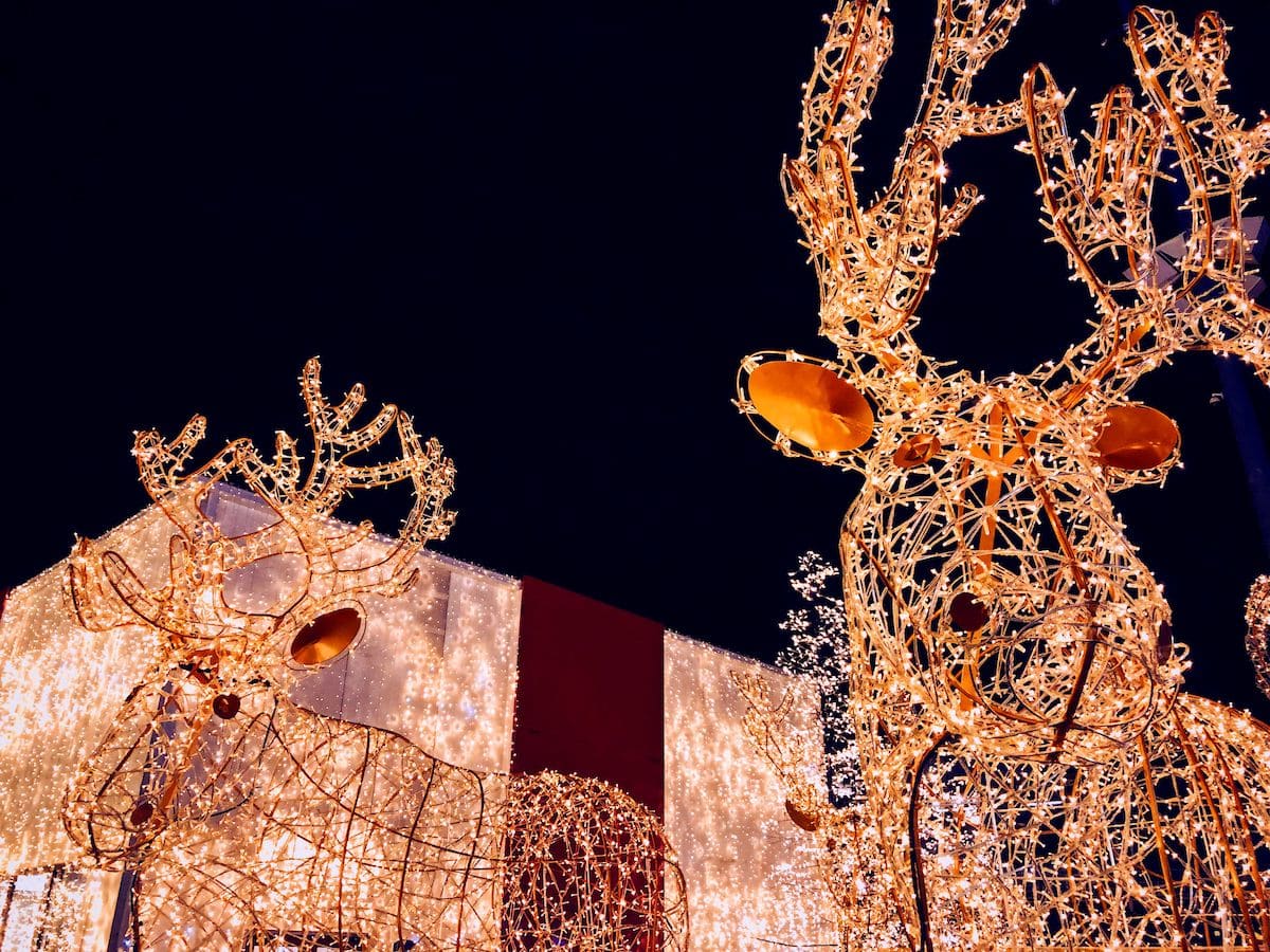 Fairgrounds lights new arrivals