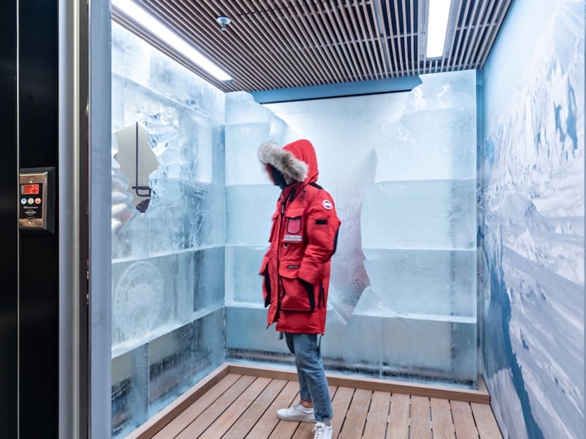 Canada goose sales london cold room