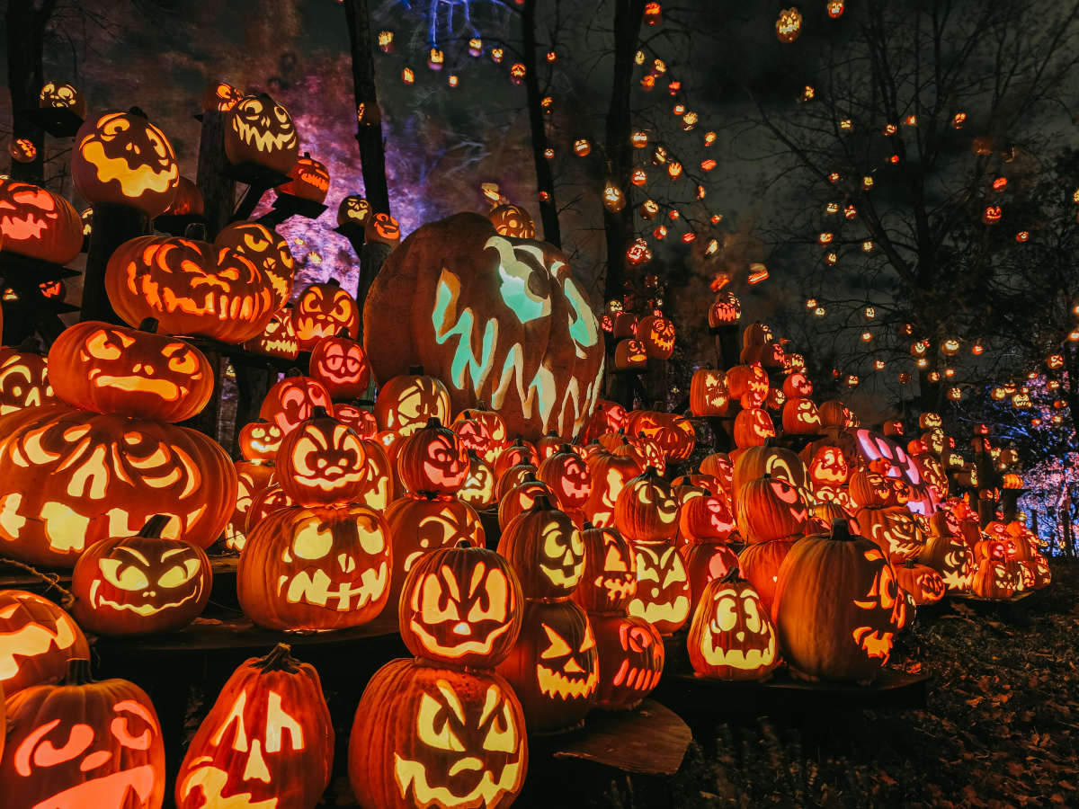 Minnesota Zoo announces the return of its Jack-O-Lantern