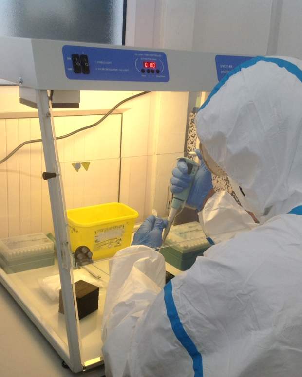 coronavirus, covid-19