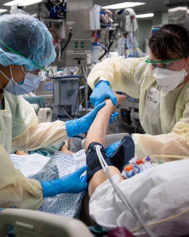 coronavirus, covid-19