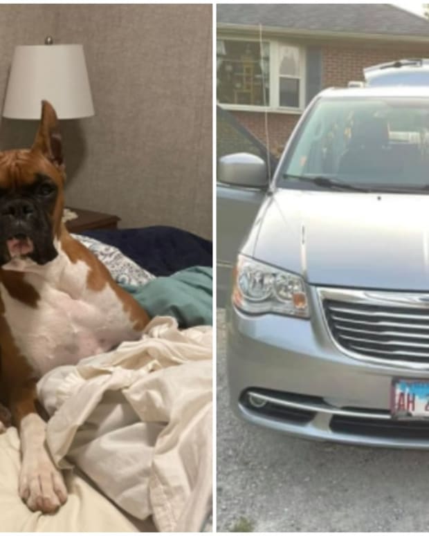 Jasper, missing dog stolen with van in South St. Paul