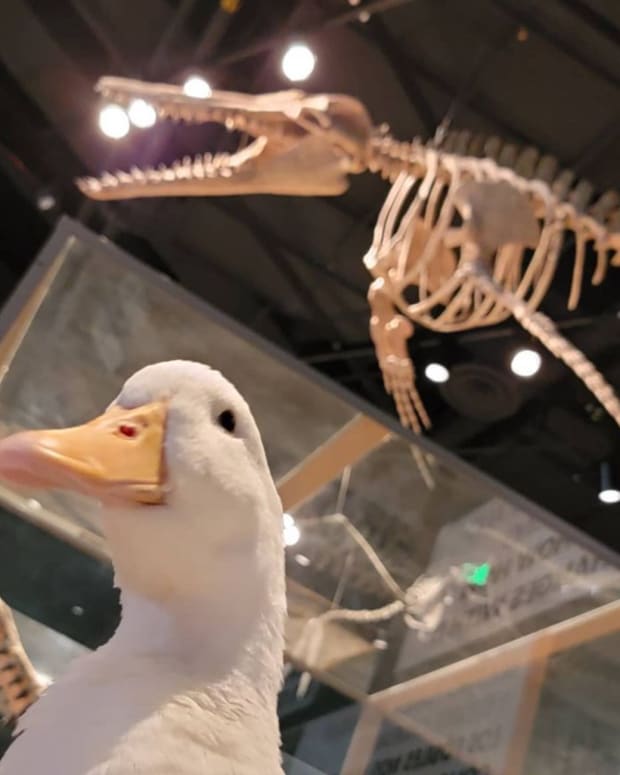 Ben Afquack Science Museum 9 - CROP