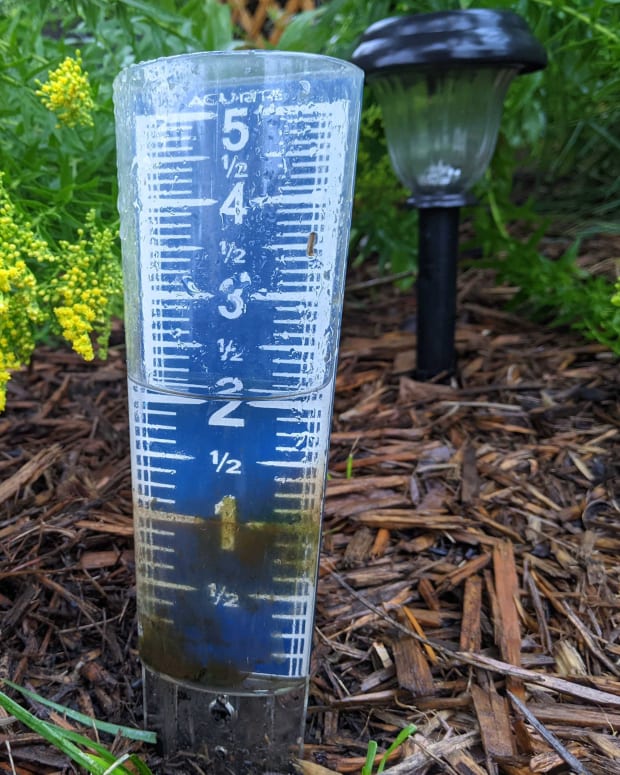 rain, rain gauge