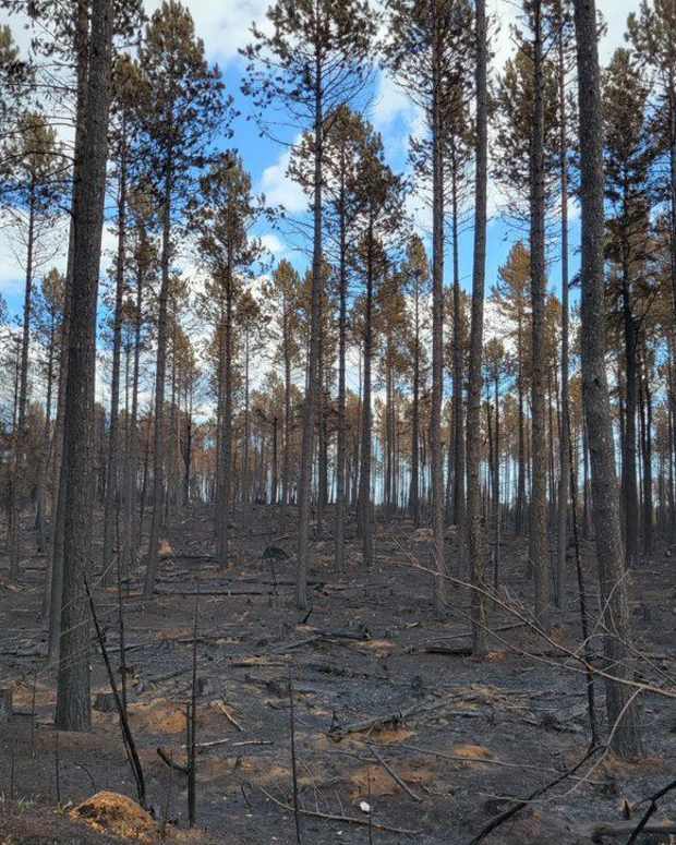 MNICS - greenwood fire - Sept 2