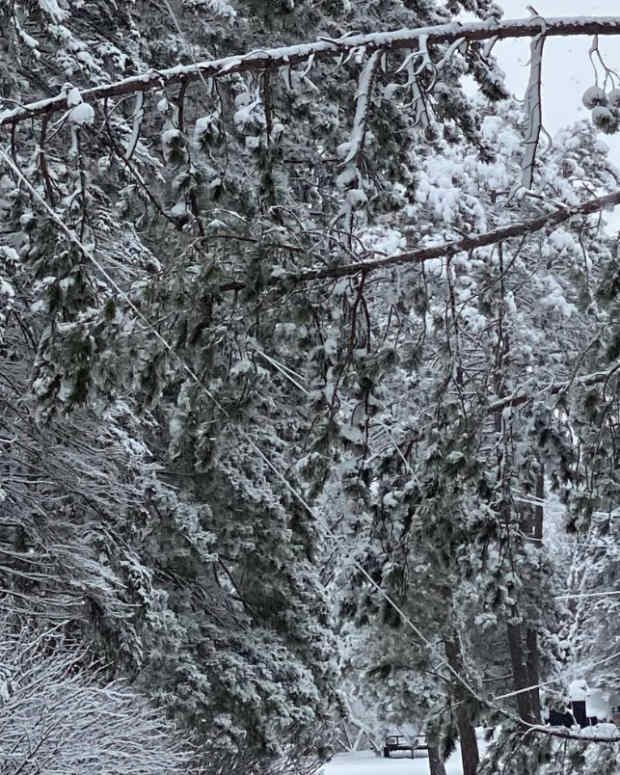 Screen Shot 2022-12-15 at 10.17.18 AM