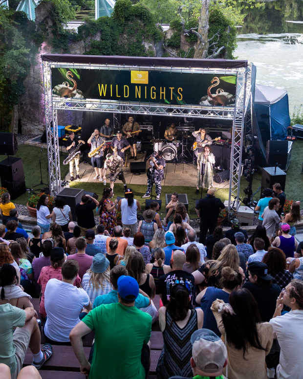 Wild Nights concert Minnesota Zoo