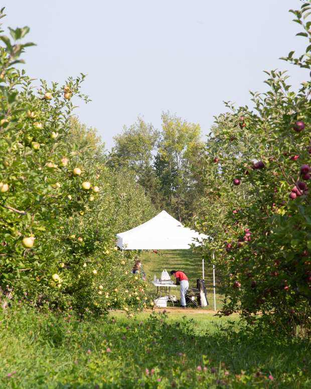 Pleasant Valley Orchard