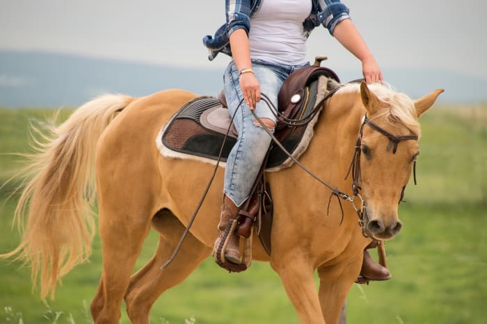 Woman dies after being dragged by horse in west-central Minnesota