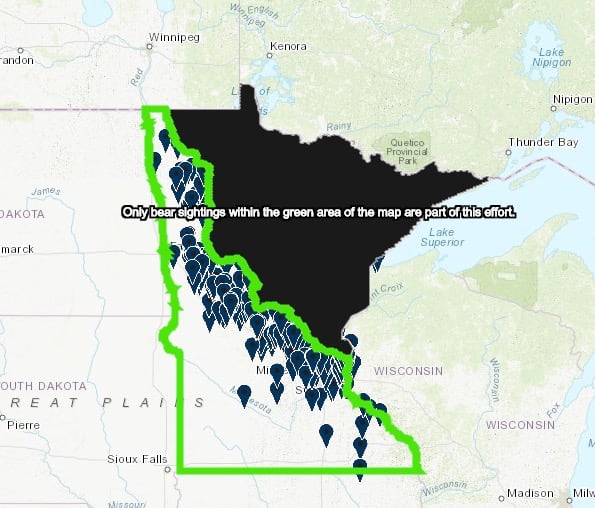 Bear sightings inside the green box are part of a DNR study. Areas in black, which woudl include Fosston, are where bears are more commonly seen.