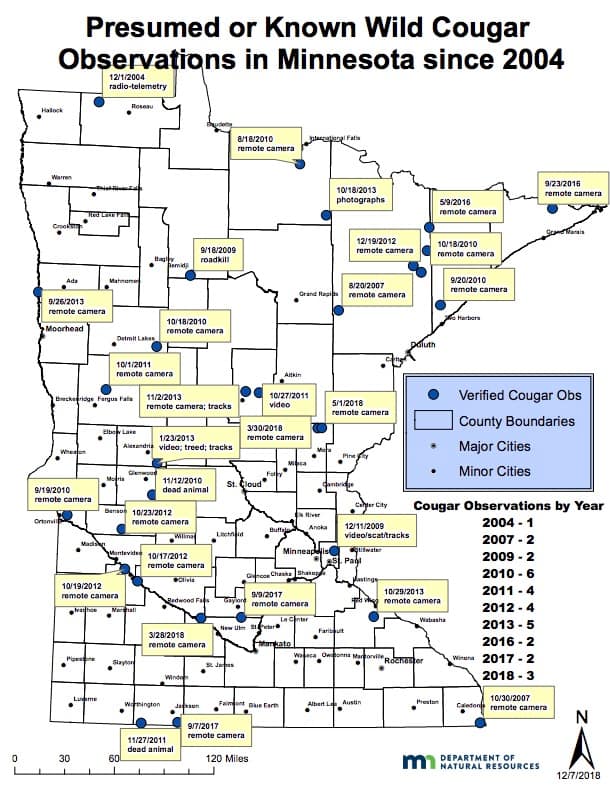 Screen Shot 2019-08-21 at 1.10.59 PM