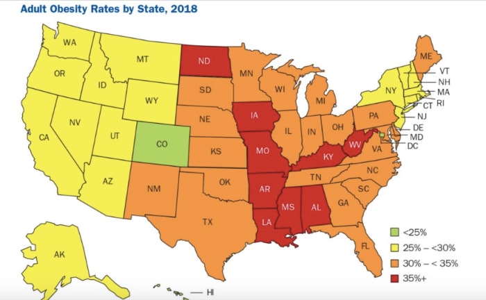 Study: Minnesota's obesity rate reaches a new record high - Bring Me ...