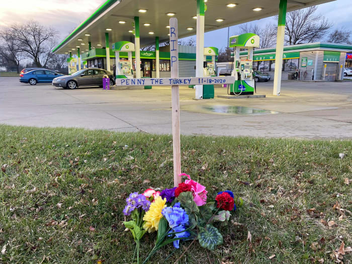 Bloomington resident Buddy Michaelson created a memorial at one of Penny's hangouts.