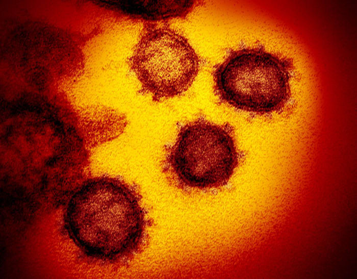 SARS-CoV-2, novel coronavirus