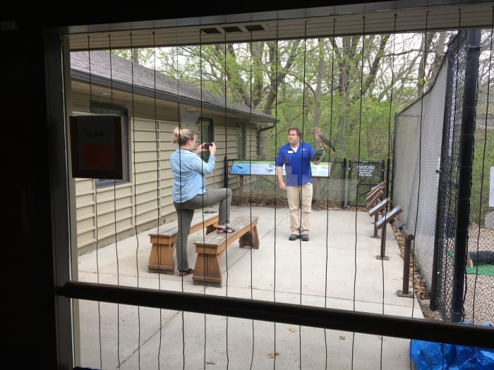 Adam Barnett and Allie Gams Beeson, interpretive naturalists at Richardson Nature Center, filming a video with a red-tailed hawk on Wednesday, May 6, 2020.