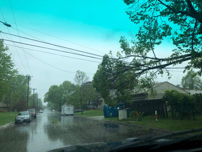 power line, tree down, damage, rain