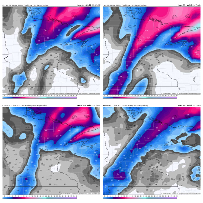 European model (top left), American model (top right), Canadian model (lower left), NAM model (lower right)