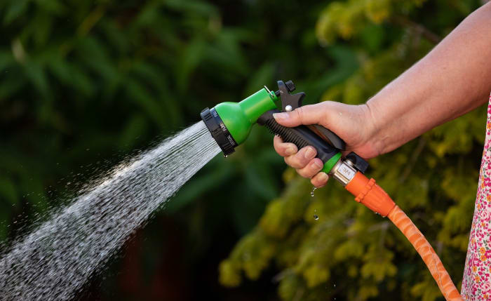 Pixabay - garden sprayer hose