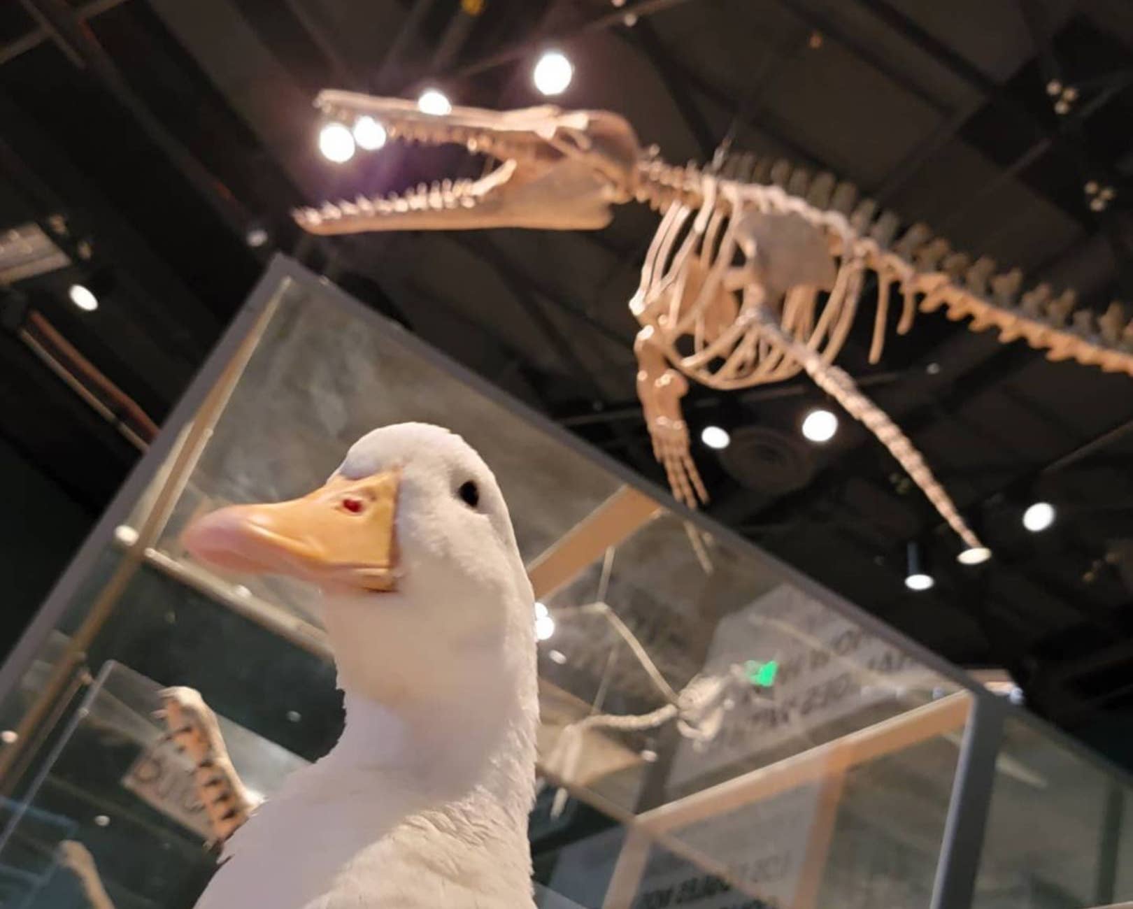 Minnesota's worldfamous Ben Afquack gets private tour of Science