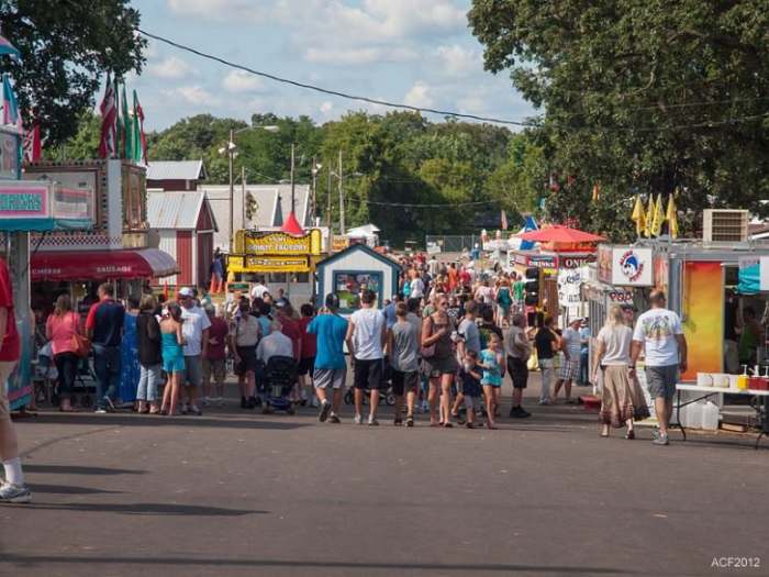 'Selfish and immature' 2 large fights break out at Anoka Co. Fair
