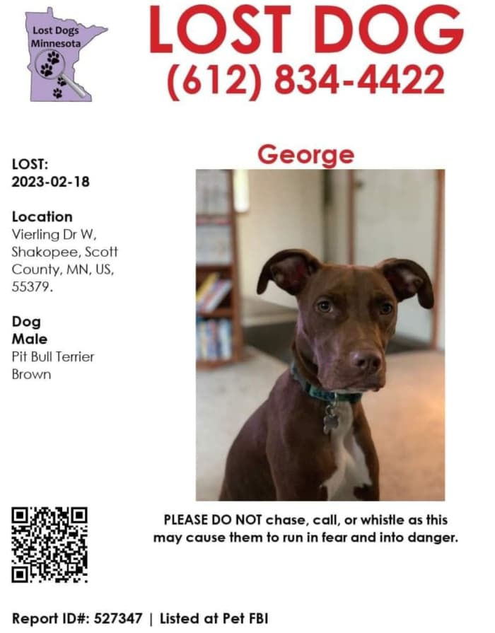 Man drops dogs off at Shakopee doggy daycare for 2 hours, finds one