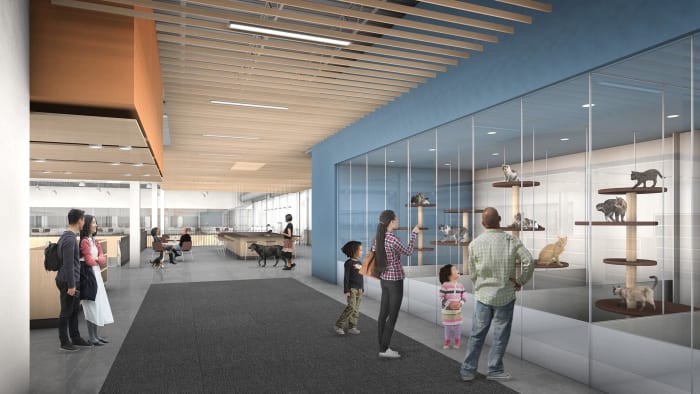 A conceptual rendering of the Animal Humane Society's adoption center and care campus being designed for St. Paul. Courtesy of the Animal Humane Society.
