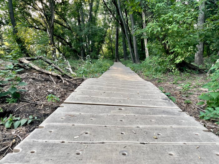 A plastic boardwalk on the trail at the Roberts Bird Sanctuary in Minneapolis, Minn. Photo by Christine Schuster | Bring Me The News. 