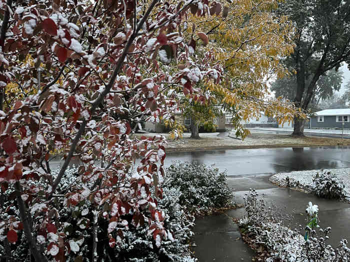 Twin Cities, greater Minnesota wakes to first snow of the season Bring Me The News