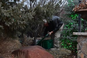Mike Justak is in a bunch of trees messing with his light show to make sure it's working properly in 2018.