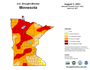 Here's what the drought means for fall colors in Minnesota this year ...